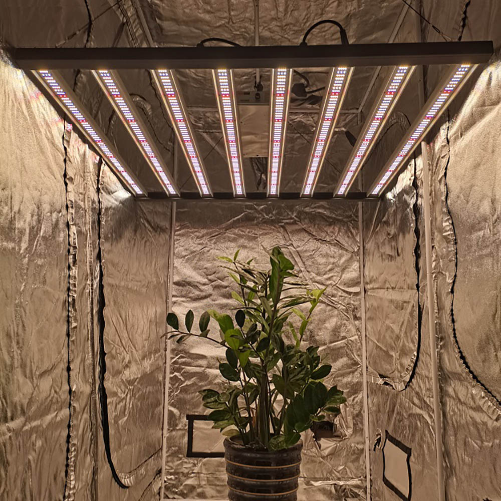 How To Use Led Growing Lamp For Indoor Plants? - Okayledgrow.com